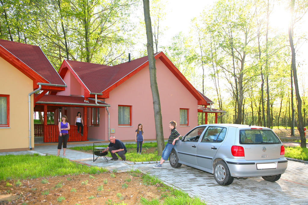 Sarkany Apartman, Sarkany Wellness Es Gyogyfuerdo Нірбатор Екстер'єр фото